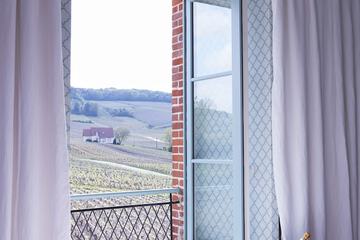 Vineyard view