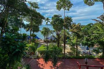 Garden view