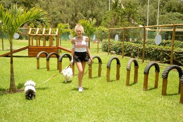 Pet-friendly amenities