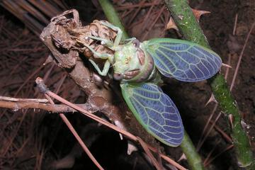 Photo 23