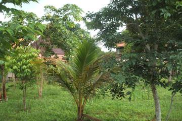 Photo 38