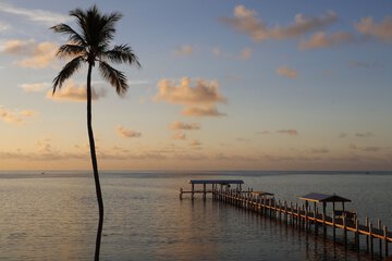 Dock