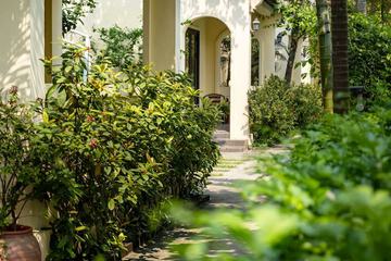 Courtyard