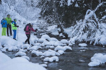 Snowshoeing