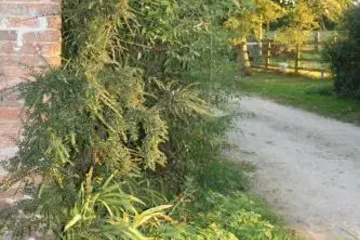 outside