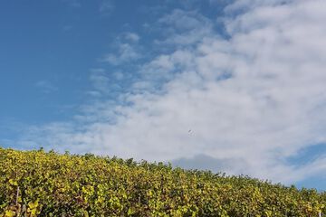 Hiking