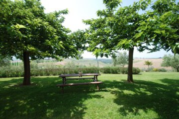 Terrace or Patio