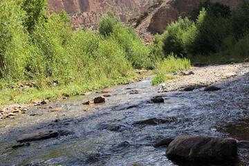 Photo 28
