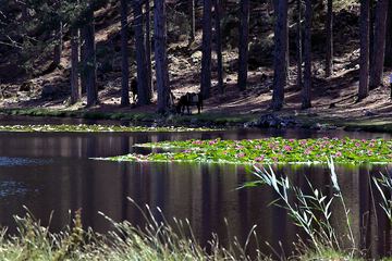 Lake