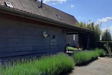 Photo 53