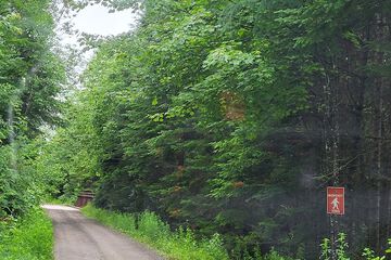 Ecotours