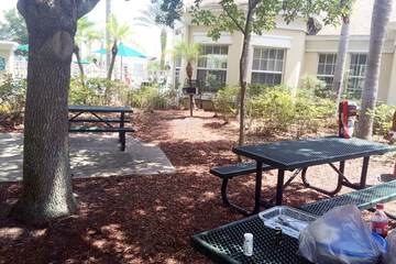 BBQ/picnic area