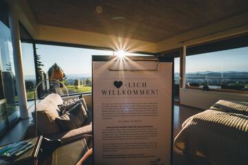 Vineyard view