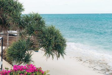 Beach/ocean view