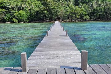 Dock