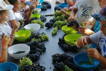 Children's activities