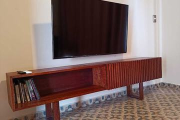 Television