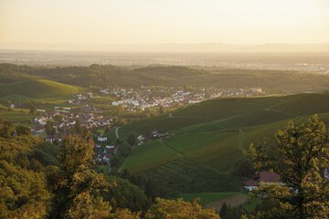 Land view from property