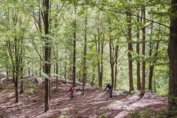 Bicycling