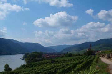 Photo 50