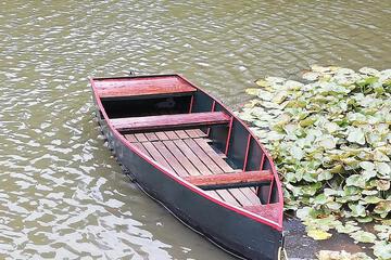 Photo 31
