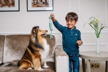 Pet-friendly