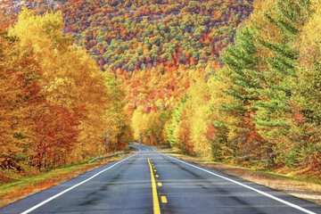 Children's activities