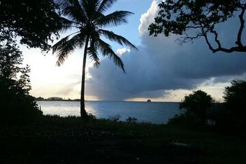 Photo 33