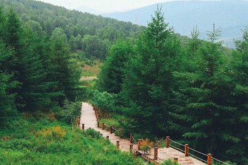 Land view from property