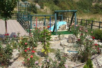 Photo 43