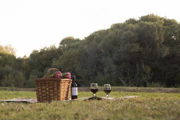 BBQ/picnic area