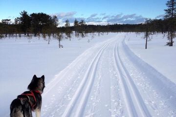 Snow and ski sports