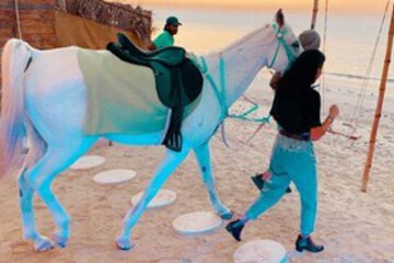 Horse Riding
