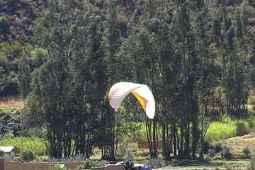 Game viewing