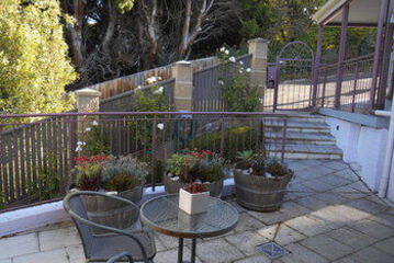 Terrace or Patio