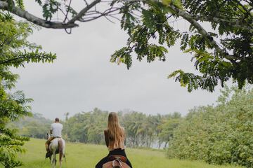 Horseback riding