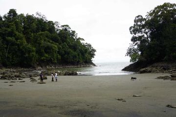 Beach/ocean view