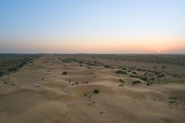 Safari
