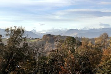 Park view