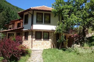 Photo 20