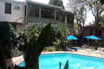 Photo 8