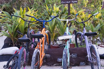 Bicycling