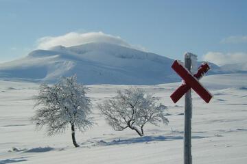 Photo 33
