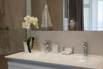 Bathroom sink