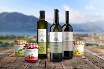Vineyard