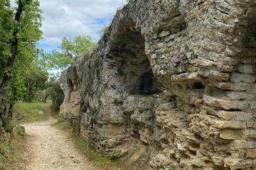 Photo 29