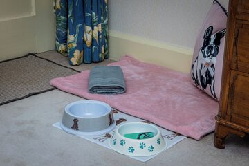 Pet-friendly