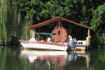 Photo 47
