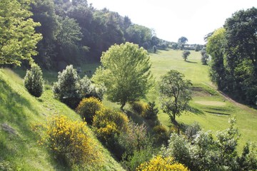 Park view