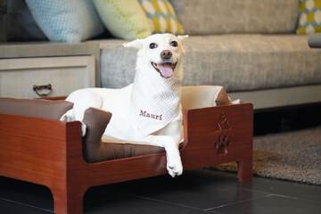 Pet-friendly amenities